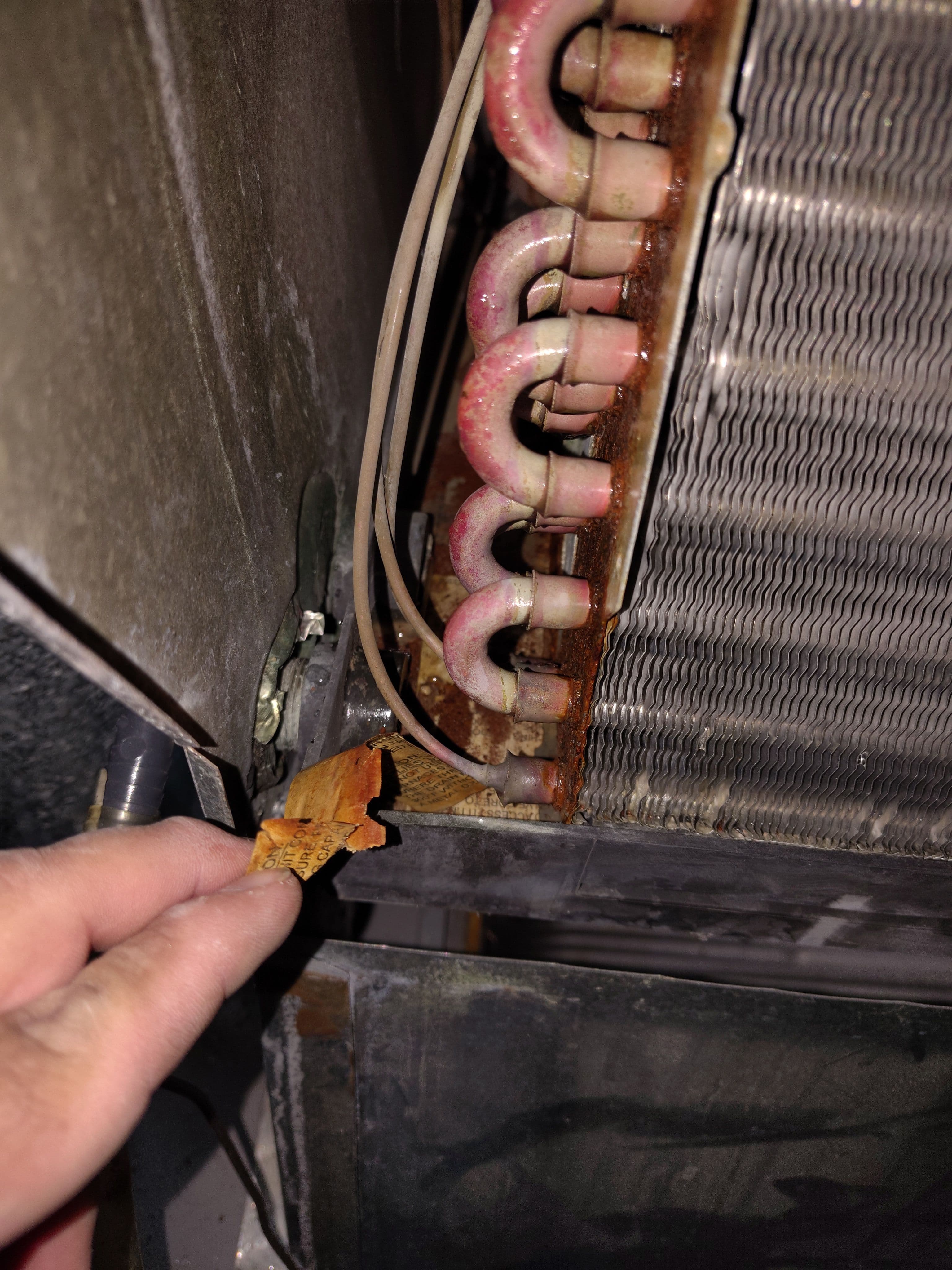 Project AC Leaking Water? A Clogged Drain Pan Could Be Why image