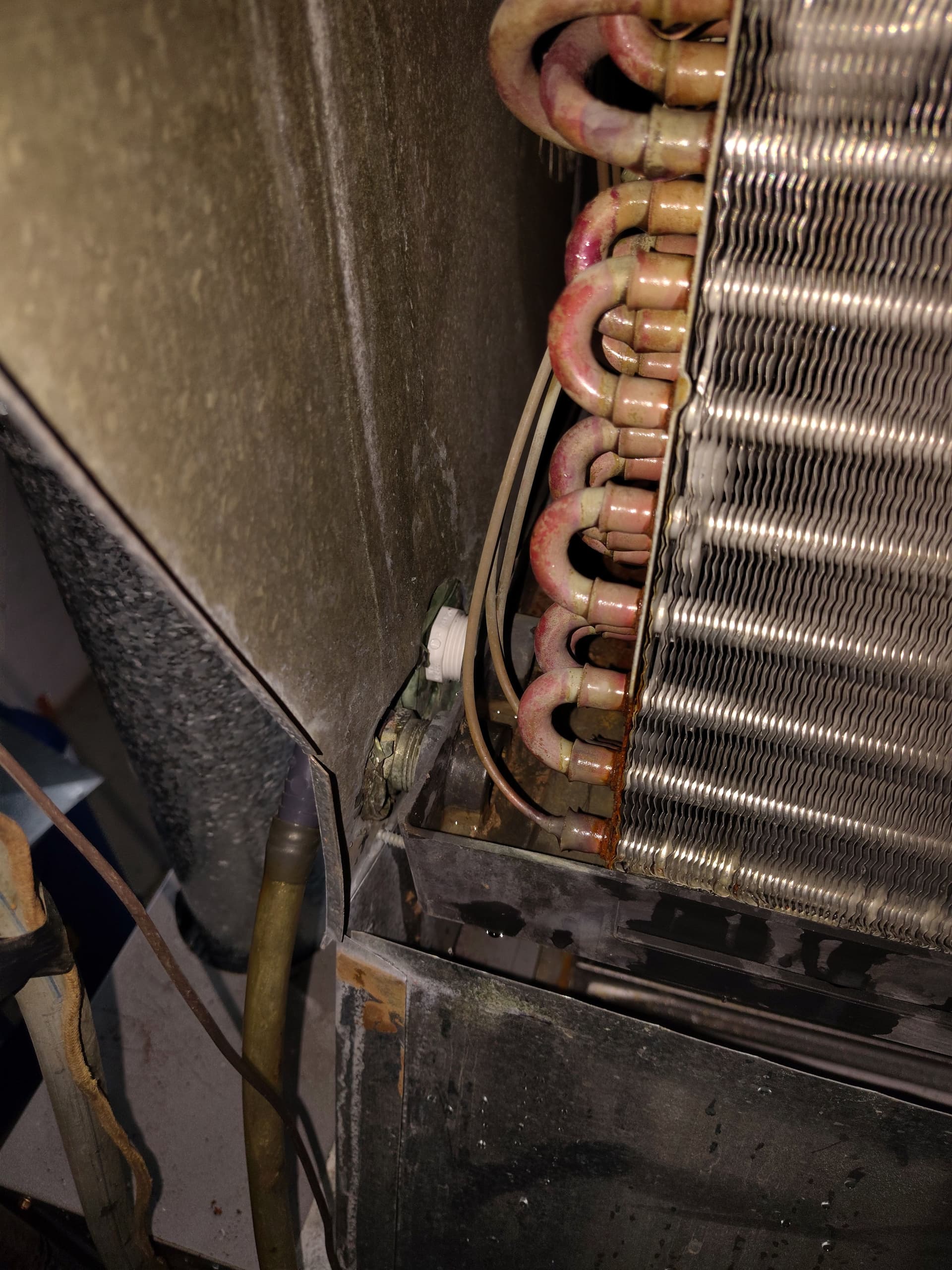 Gallery photos for AC Leaking Water? A Clogged Drain Pan Could Be Why: Image #3