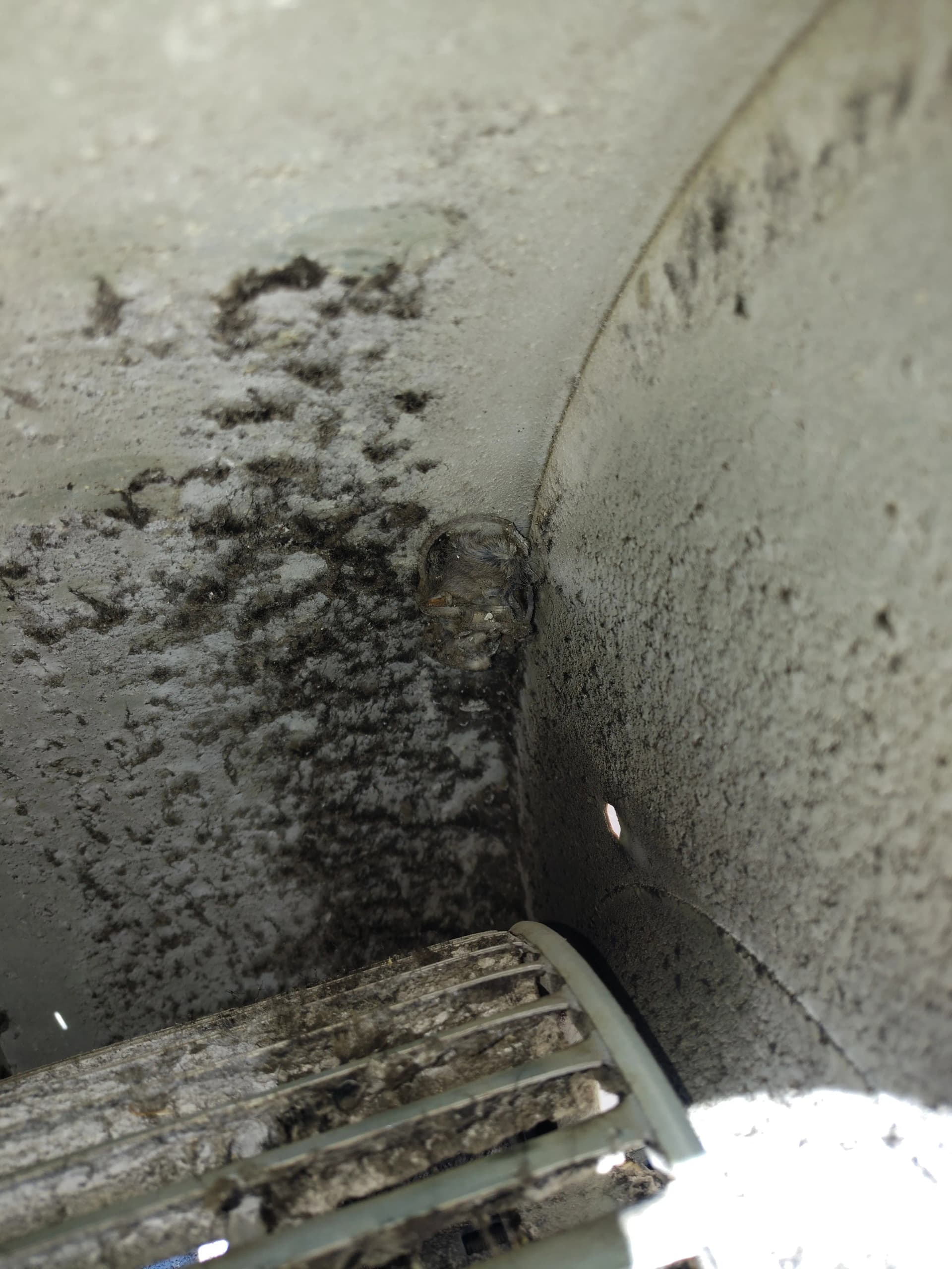 Gallery photos for What Remodel Dust Does to Your Furnace Blower: Image #1